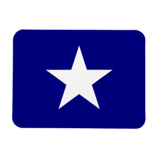 Bonnie Blue Flagga White Star Magnet