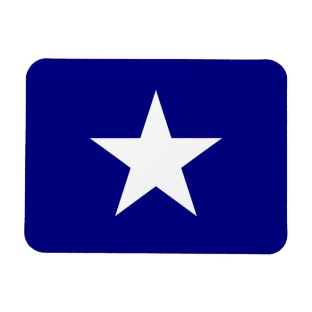 Bonnie Blue Flagga White Star Magnet (Horisontell)