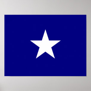 Bonnie Blue Flagga White Star Poster