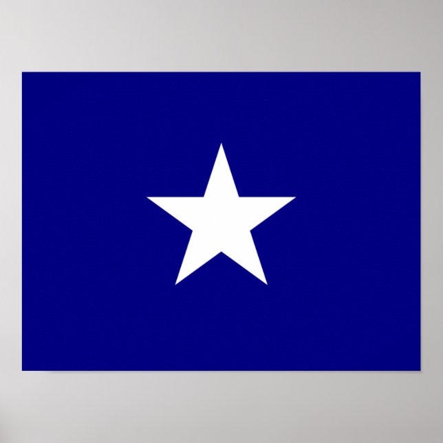 Bonnie Blue Flagga White Star Poster (Framsidan)