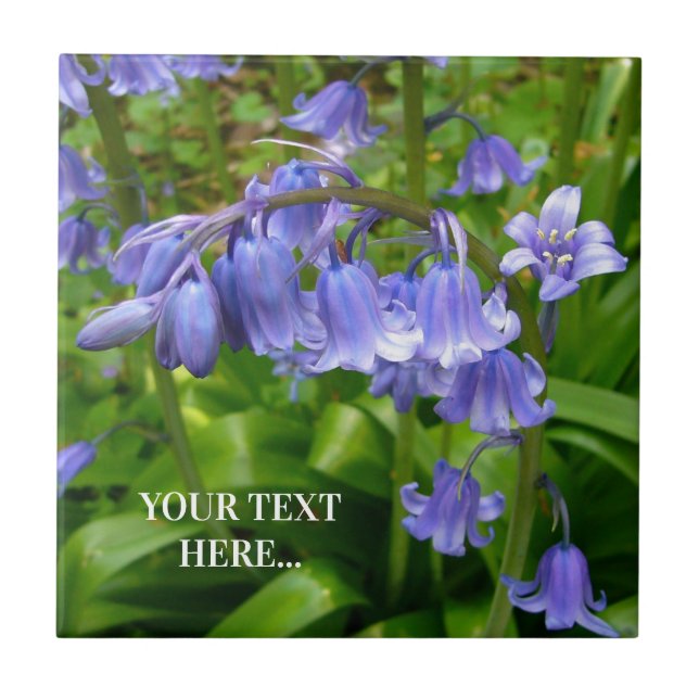 Bonnie Bluebell Kakelplatta (Framsidan)