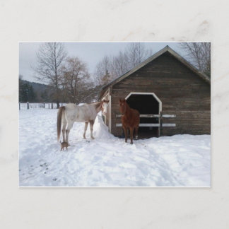 Bonnie & Clyde Vykort