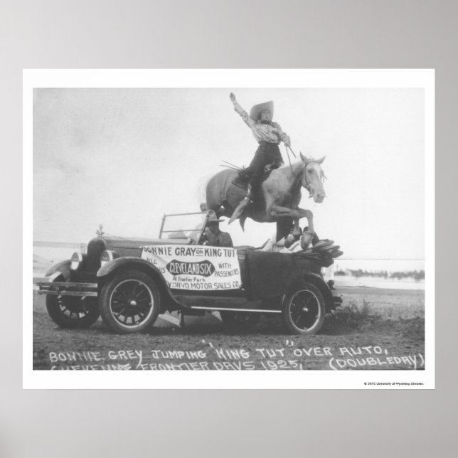 Bonnie Grått hoppar över hästen. Poster (Framsidan)