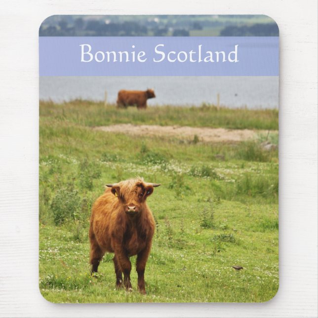 "Bonnie Scotland" med Young Highland Cow Photo Musmatta (Framsidan)