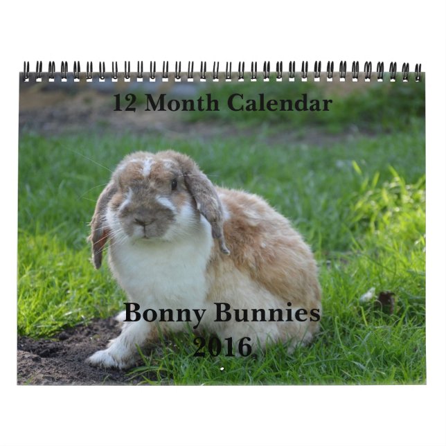 Bonny Bunnies 12 månaders kalender 2016 (Omslag)