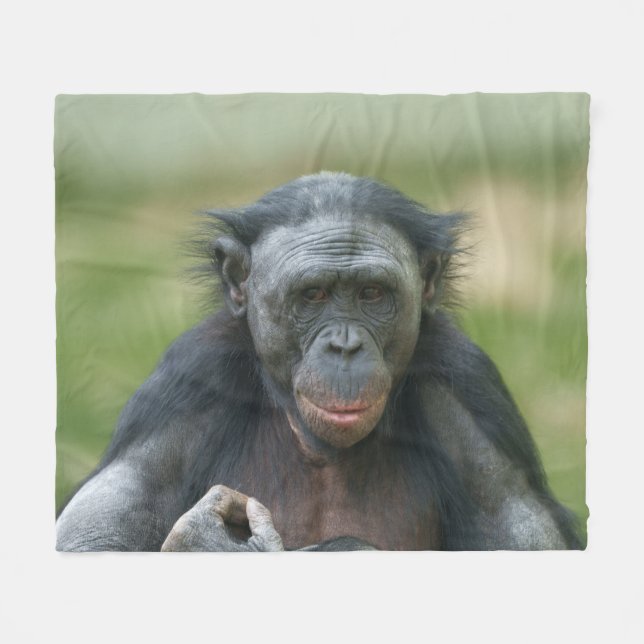 Bonobo Contemplation Fleecefilt (Framsidan (Horisontell))