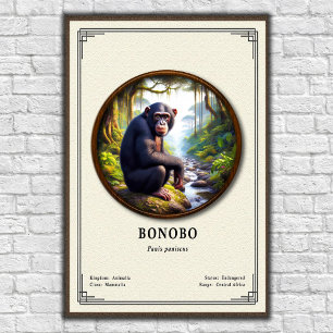 Bonobo Zoologi Serie Poster
