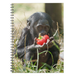 Bonobos Picnic Anteckningsbok