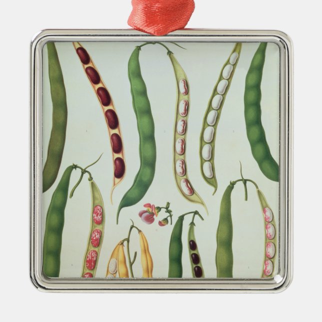 Bönor Julgransprydnad Metall (Framsidan)