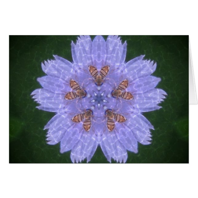 Bönor med bin OBS kort (Framsidan Horizontal)