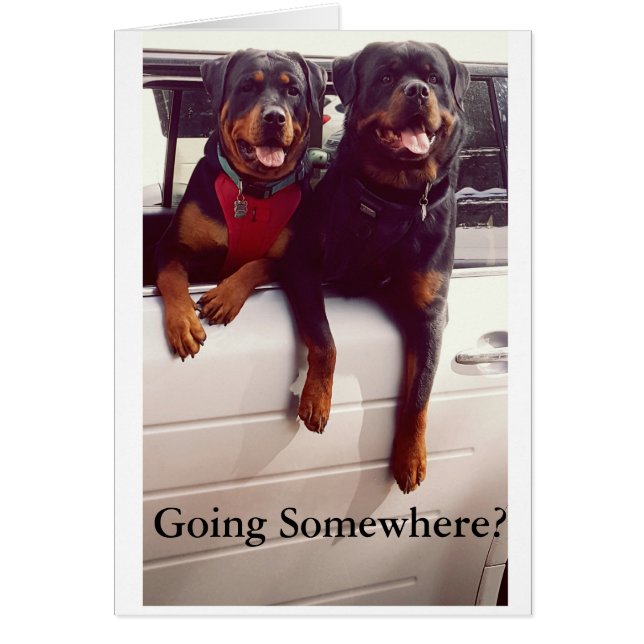 Bonresakort Hälsningskort (Framsidan)