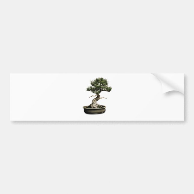 Bonsai Bildekal (Framsidan)