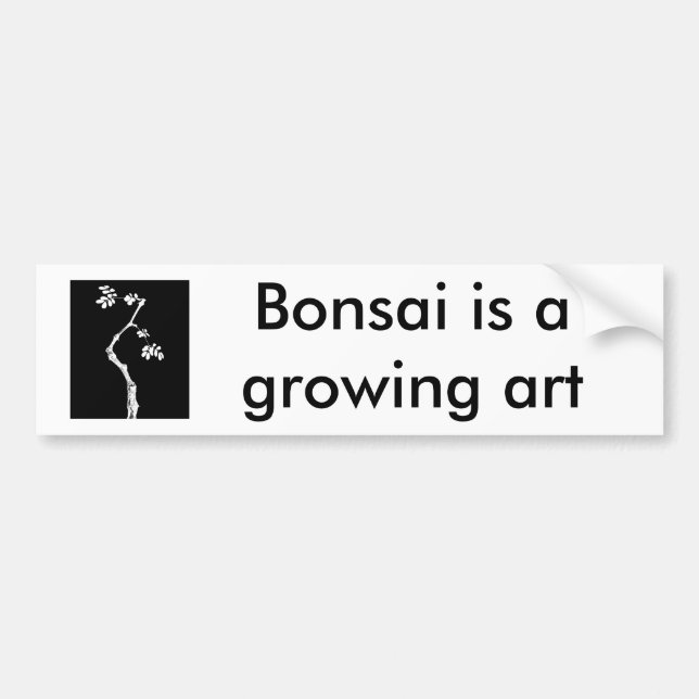Bonsai Bildekal (Framsidan)