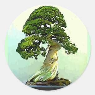 Bonsai Cypress Träd Runt Klistermärke
