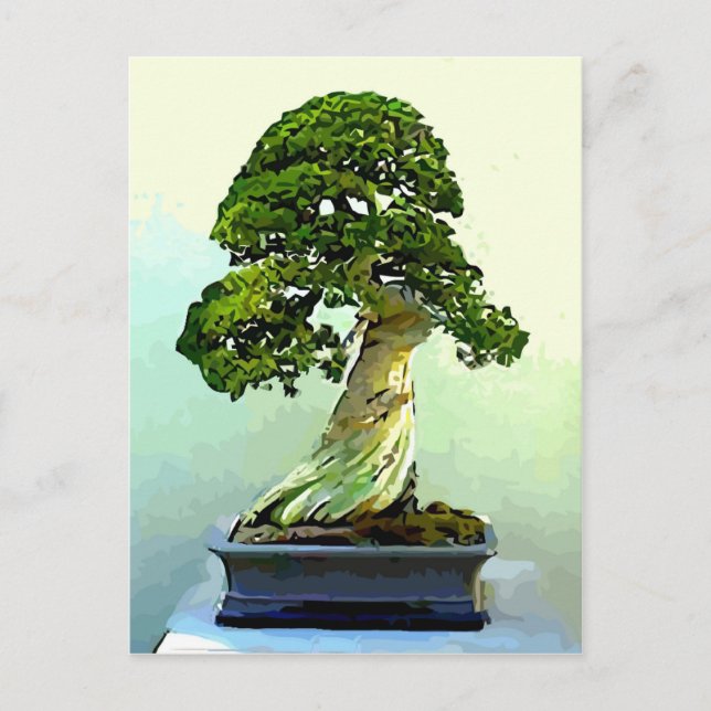 Bonsai Cypress Träd Vykort (Framsida)