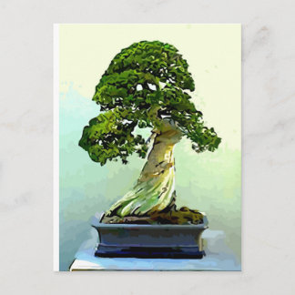 Bonsai Cypress Träd Vykort
