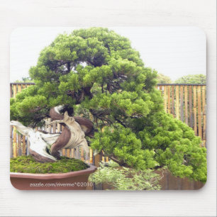 Bonsai/den lade in kinesen landskap musmatta