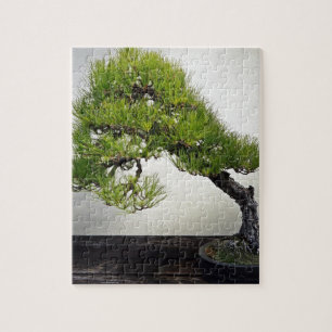 Bonsai för japansvartgräs pussel