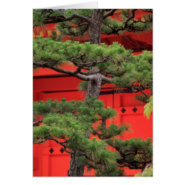 Bonsai Gräs Träd Hälsningskort (Framsidan)