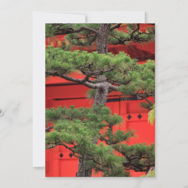 Bonsai Gräs Träd Tack Kort (Framsida)