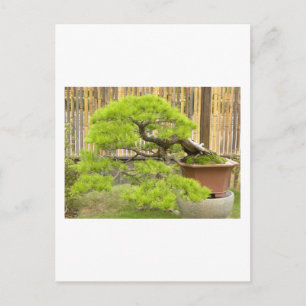Bonsai Hälsning/vykort för inbjudan
