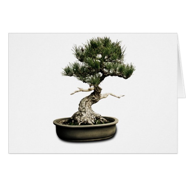 Bonsai Hälsningskort (Framsidan Horizontal)