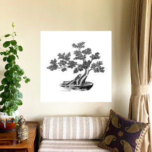 Bonsai - Kinesisk stil - svart och vitt Poster