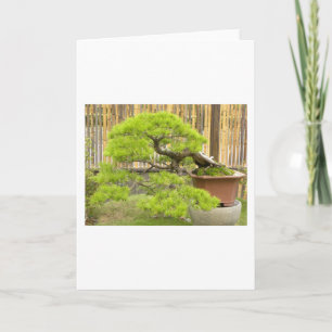 Bonsai/kinesiskt stående liggande helgkort