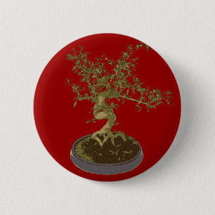 Bonsai Knapp