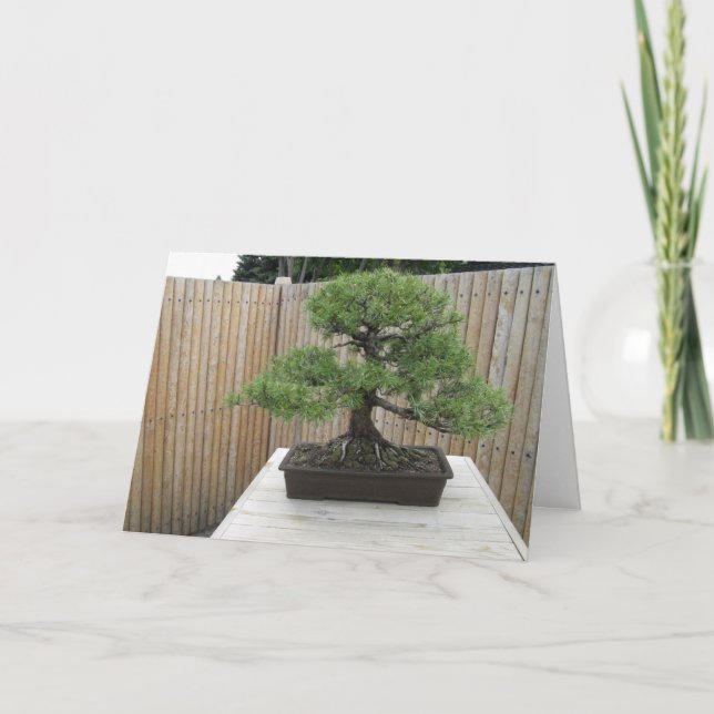 Bonsai Mugo Gräs - tackkort (Framsida)