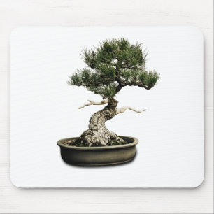 Bonsai Musmatta