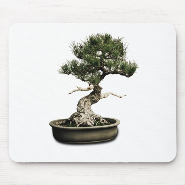Bonsai Musmatta (Framsidan)