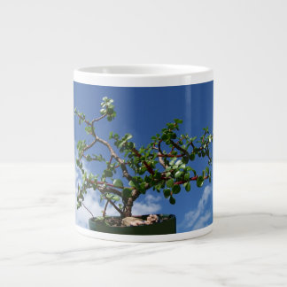 Bonsai portulacaria afra träd 1 jumbo mugg