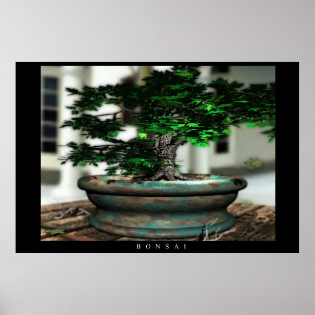 Bonsai Poster (Framsidan)
