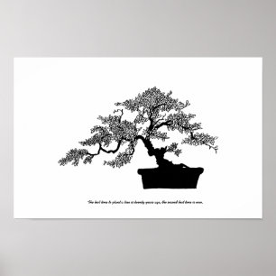 Bonsai Poster med text