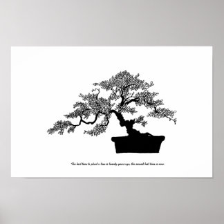 Bonsai Poster med text