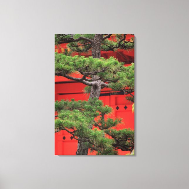 Bonsai-Tall Canvastryck (Framsida)