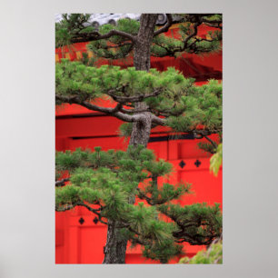 Bonsai-Tall Poster