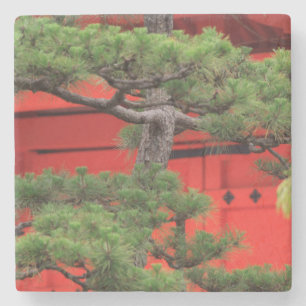 Bonsai-Tall Stenunderlägg
