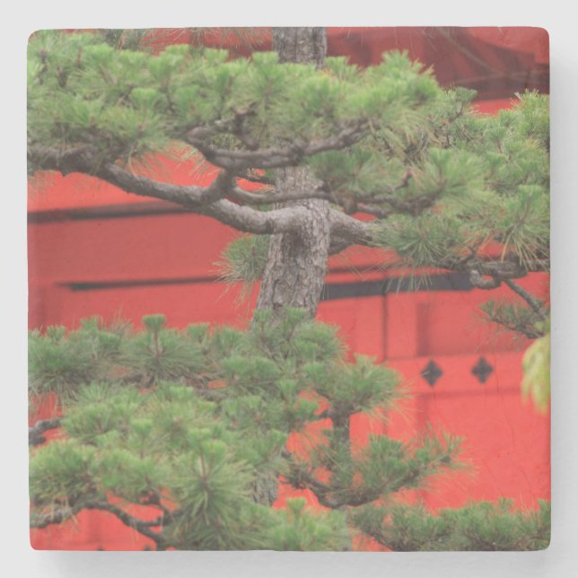 Bonsai-Tall Stenunderlägg (Framsidan)