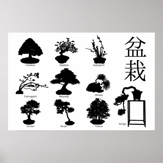 Bonsai Träd Basic Stilar 10 Poster (Framsidan)