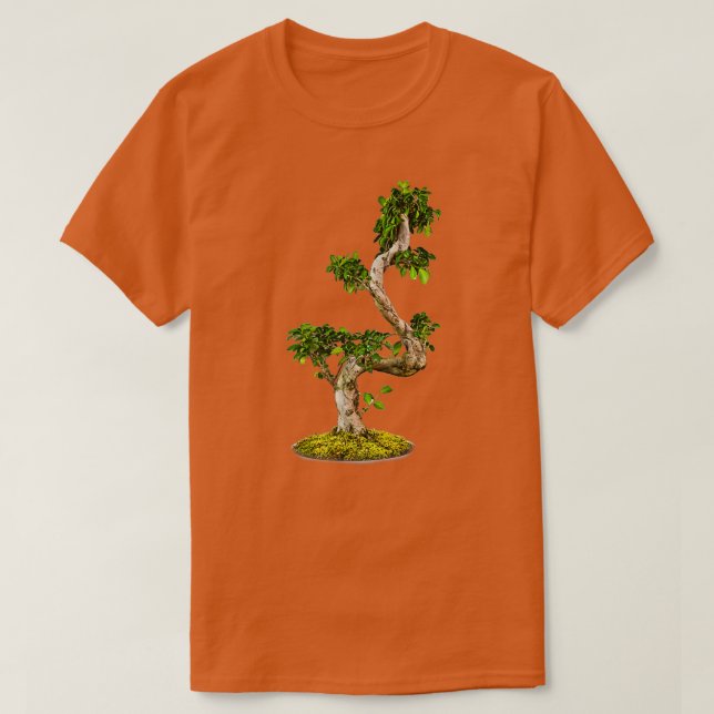 Bonsai Träd i hand grönt Natur isolerad vit Ba T Shirt (Design framsida)