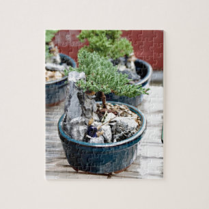 Bonsai Träd Pussel
