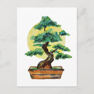 Bonsai Träd Sunshine Vykort