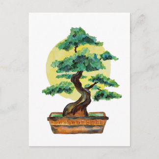 Bonsai Träd Sunshine Vykort