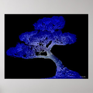 Bonsai-utskrift Poster