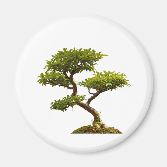 Bonsai-växter Magnet (Framsidan)