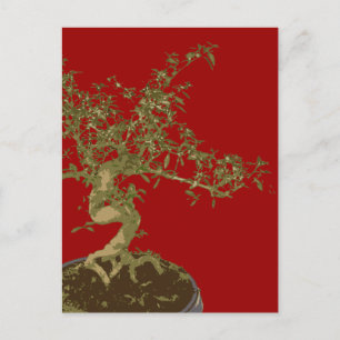 Bonsai Vykort
