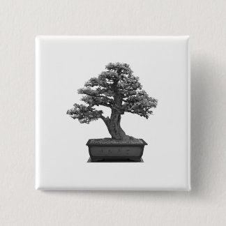 bonsaiträd knapp