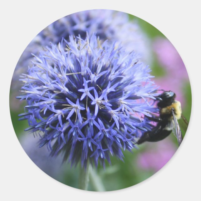 Bönsdekaler Runt Klistermärke (Framsida)